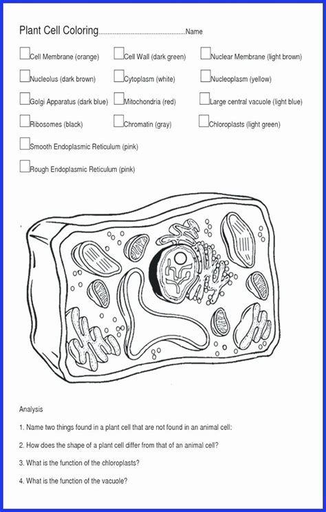 28 biologycorner com worksheet answers answer key biology image information: Animal Coloring Answer Key | Coloring Pages Gallery en ...