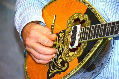 Vahid iran shahi hat verdammt schneller finger. Bouzouki stockfoto. Bild von akustisch, auswahl, bouzouki ...