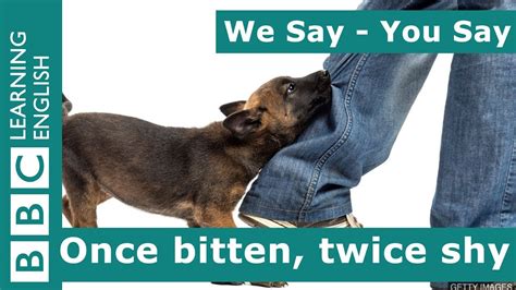 Once bitten, twice shy is an interesting idiom that first appeared in the 1800s. We Say - You Say: Once bitten, twice shy - SamSmithEnglish ...