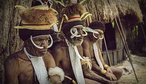Papua barat memiliki rumah adat yang memesona. √ Kebudayaan Papua Barat, Rumah, Pakaian, Tarian [Lengkap ...