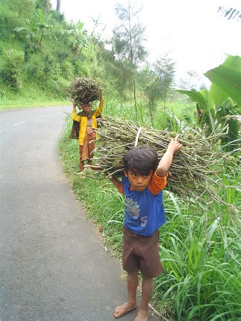 Kesalahpahaman tersebut membuat komunikasi anak dan orang tua tidak berjalan dengan baik. "BLOG-NYA ANAK² GAUL"