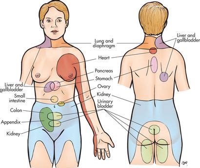 This cancer makes the skin of the breast appear red and feel warm. pancreatic cancer pain location picture | Back Pain Could ...