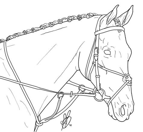 Alibaba.com offers 1722 horse jumping poles products. Horse lineart | Horse coloring pages, Horse clip art ...