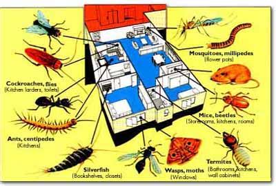 United states, manchester, 3154 quarry rd. All States Pest Control | Termite Control | Fumigations ...