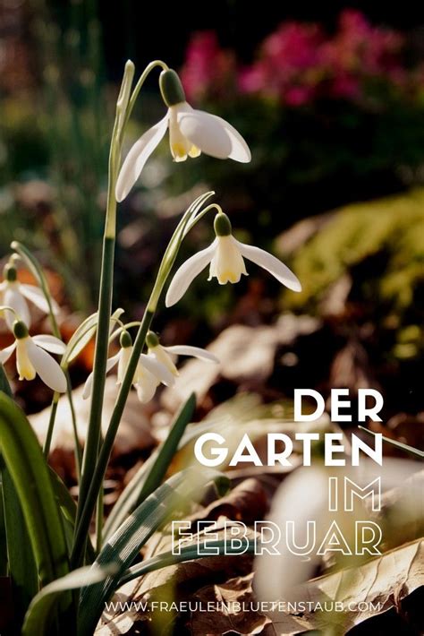 Wer sich über einen schönen garten im mai freuen möchte, muss schon ab märz mit der gartenarbeit beginnen. DER GARTEN IM FEBRUAR | Garten, Frühlingsgarten ...