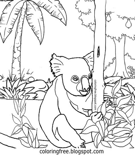 Koala are known as one of the endangered species on earth. Cute Koala Drawing at GetDrawings | Free download