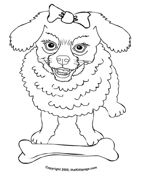 Vintage poodle skirt and a poodle skirt costume. Poodle Cartoon Drawing at GetDrawings | Free download