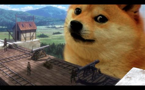 Check spelling or type a new query. Doge Meme Iphone Wallpaper
