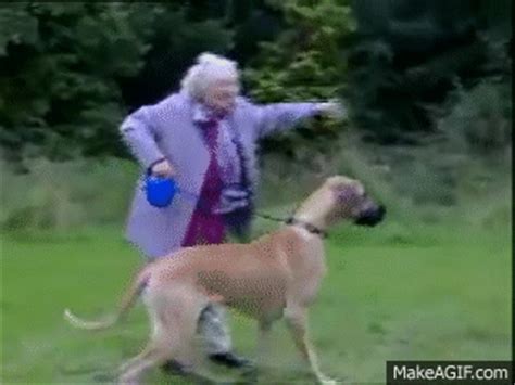 #my art #dogs #dog gif #dogs with hands #animation #flash #lmao. Grandma Gets Pulled By Dog (FUNNY) on Make a GIF