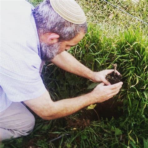 Can we figure out how to remedy this before it's too late? Hebron Vineyard Replanted after Antisemitic Vandalism ...