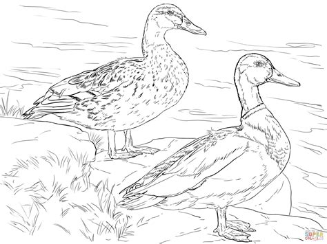 39+ baby duck coloring pages for printing and coloring. Boy Holding Umbrella Coloring Page - Coloring Home