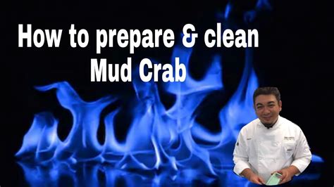 Nama saintifik ketam nipah ialah scylla serrata. Cara siang Ketam Nipah/ How to clean Mud Crab - YouTube