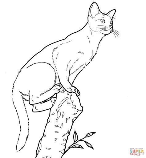 Contains a collection of pictures of cats that are funny and will certainly be liked by children. Best Realistic Cat Coloring Pages | Cat coloring page ...