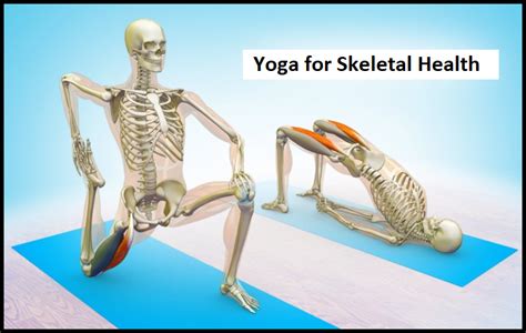 Unlimited learning · accredited diplomas · 24/7 student support Yoga for Skeletal Health | Improve posture, Yoga teacher ...