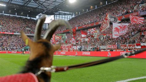 You were redirected here from the unofficial page: Emotionen gegen Dortmund - Hennes IX. verliert Debüt ...
