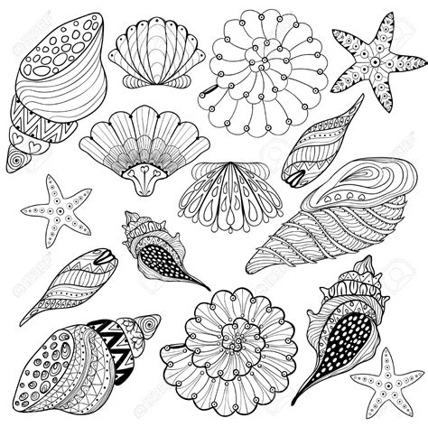 Die muscheln und die petersilie dazugeben. Sea Shell Drawing at GetDrawings | Free download
