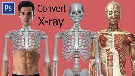 A little known photoshop technique is the x ray process. Adobe Photoshop tutorial || X-Ray or Terminator Effect in Photoshop - Photoshop Trend