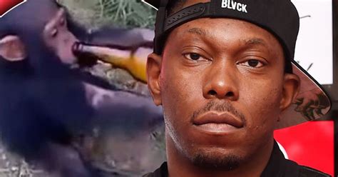 The garden resort in tisno. Dizzee Rascal apologises for sharing animal cruelty video ...