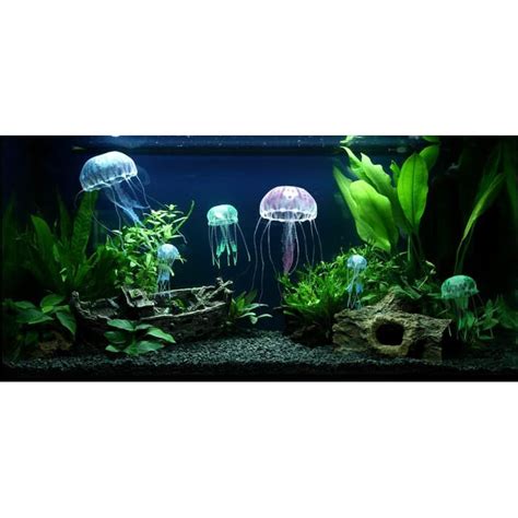 Tapi, tidak semua tanaman membutuhkan co2 agar bisa bertahan hidup. Paket Aquascape Hiasan Aquarium - Aquascape Kit Paket ...