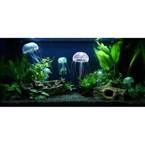 Karena pertumbuhan tanaman karpet akan memberikan tampilan di bagian alas/dasar aquarium sehingga tampak lebih hidup. Paket Aquascape Hiasan Aquarium - Aquascape Kit Paket ...