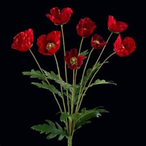 Le bouquet de coquelicots,symbole de rêves,signifie ardeur fragile. MINI BOUQUET DE COQUELICOT