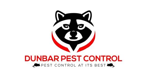 Our services are available to both domestic and commercial clients. Wildlife Control, Pest Control Service | Clifton Park ...