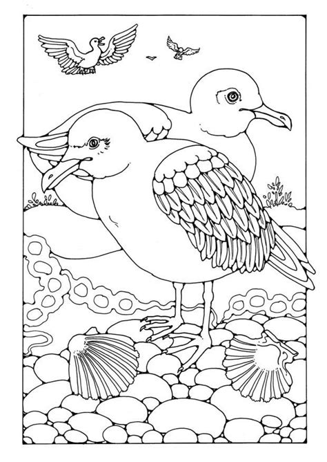 Make a coloring book with seagull printable for one click. Coloring Page Gull - free printable coloring pages - Img 19587