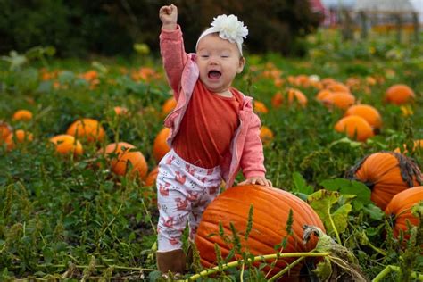 Maybe you would like to learn more about one of these? Best Fall 2020 Activities Near Washington, DC | Keener ...