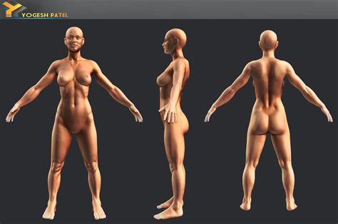 Over 288,801 anatomy pictures to choose from, with no signup needed. Pwning Noobs Online: Female Anatomy Sculpt