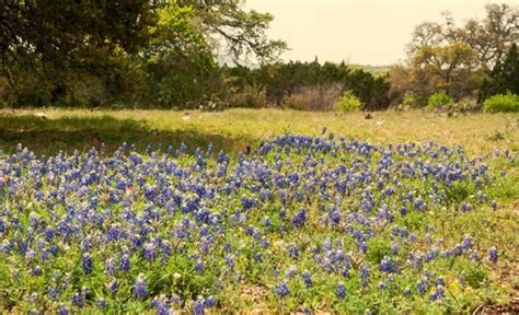 In fact, while bitcoin is up 230 percent from the low of december 2018, this cryptocurrency is down 5 percent. Ripple Recovery Ranch - Treatment Center Costs