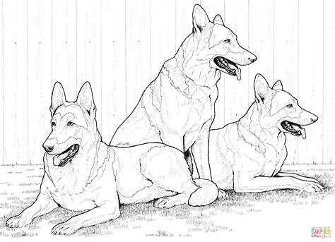 German shepherd coloring pages are a good way for kids to develop their habit of coloring and painting, introduce them new colors, improve the creativity and motor skills. German Shepherd Dog Coloring Pages - Coloring Home