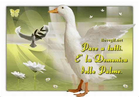 ¿has estado en hotel delle palme? Auguri di buona Domenica delle Palme 2018 con le migliori ...