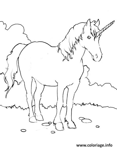 Coloriage licornes a ailes a imprimer / : Coloriage Licorne Ailes Tete Mignon 105 Dessin Licorne à imprimer