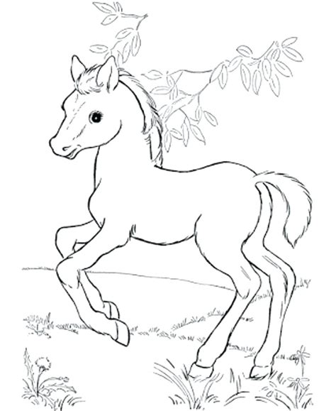 Horse coloring pages are black and white format images depicting graceful artiodactyls. Pinto Horse Coloring Pages at GetColorings.com | Free ...