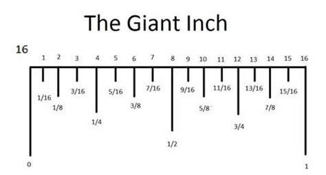 The distance between those lines is 1 inch, and then the smaller lines between them are 1/2, 1/4, 1/6 and 1/8 inches! The Giant Inch | WritersCafe.org | The Online Writing ...