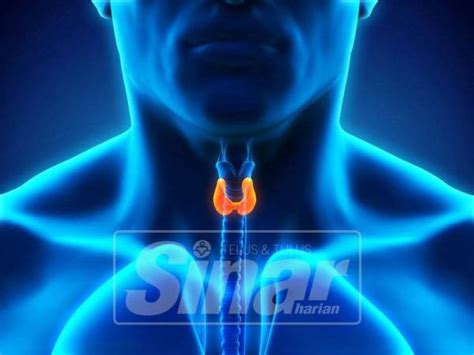 3 tanda penyakit tiroid & bahaya kelenjar tiroid di leher (hipotiroid dan hipertiroid). Tiroid berkait penyakit jantung