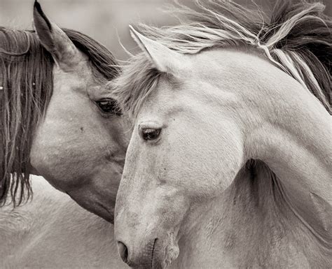 Embrace photography, whatawhata, new zealand. Kimerlee Curyl - Embrace Beauty, Photograph: For Sale at ...