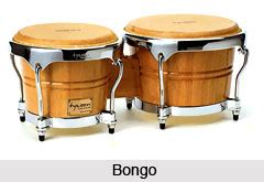 Part of the book deals with human sexual behavior. Bongo, Percussion Musical Instrument