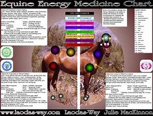Equine Energy Chart Equines Healing Energy Chart