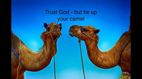 What trust in god, but tie your camel points out is that although god's will is supreme, we still have free will and the responsibility to decide our fates. Grace Moments 20.11 - Trust God, but tie up your camel ...