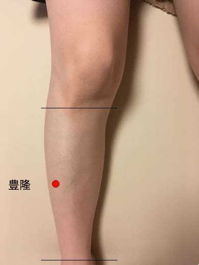 耳鳴り・難聴 | 中医学から診た各種疾患 | そらのいろ鍼灸院 ...
