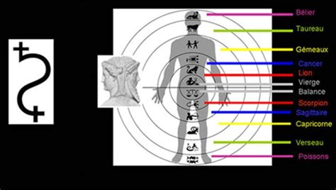 A trip to the gynecologist. L'Astrologie "Speculum" (Miroir pour scruter les étoiles)