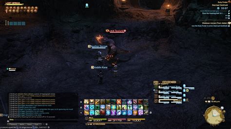 While unit members have their own free will, responding as the situation demands, they can be given orders to guide their actions. Final Fantasy XIV Guide - Dzemael Darkhold