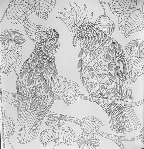 Free printable tropical fish coloring pages for your toddler. Tropical World: A Coloring Book Adventure (A Millie ...