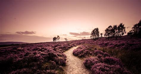 Based in chesterfield, derbyshire, we are an established landscaping business with over 20 years experience. derbyshire derbyshire england england the field heather ...