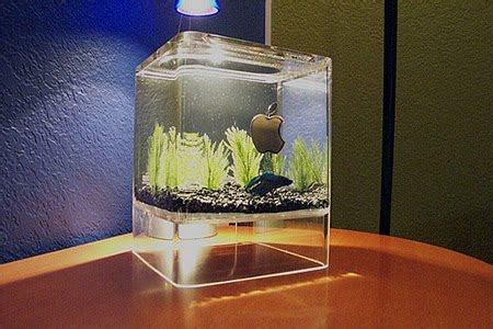 Dengan ini gak banget loh aquarium magic ini tinggal di beri air bersih. Aquarium Unik ~ BENGKEL LAS PANGGILAN PAMULANG