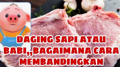 Ada juga donat versi ramah vegetarian yaitu dibikin tanpa telur dan susu sapi diganti dengan sari kedelai. CARA MEMBANDINGKAN!!DAGING BABI ATAU DAGING SAPI! AWAZ JANGAN SALAH BELII - YouTube