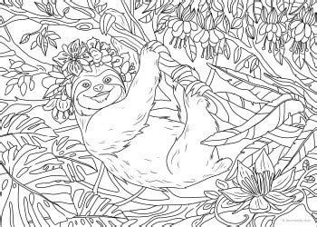 Sloths are arboreal mammals noted for slowness of movement and for spending most of their lives hanging upside down in the trees of the tropical rainforests of south america and central america. Sloth - Printable Adult Coloring Pages from Favoreads