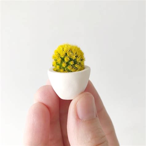 It is also a anti inflammatory and is shown in studies to oxide fat. Florinda Mini Cactus and Mini Planter | Cute Micro ...