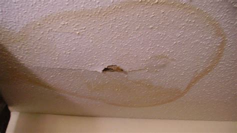 If you have ceiling water damage, it is something that needs to be identified and taken care of. Water Damage Common Causes - Armstrong Water Damage Mold ...